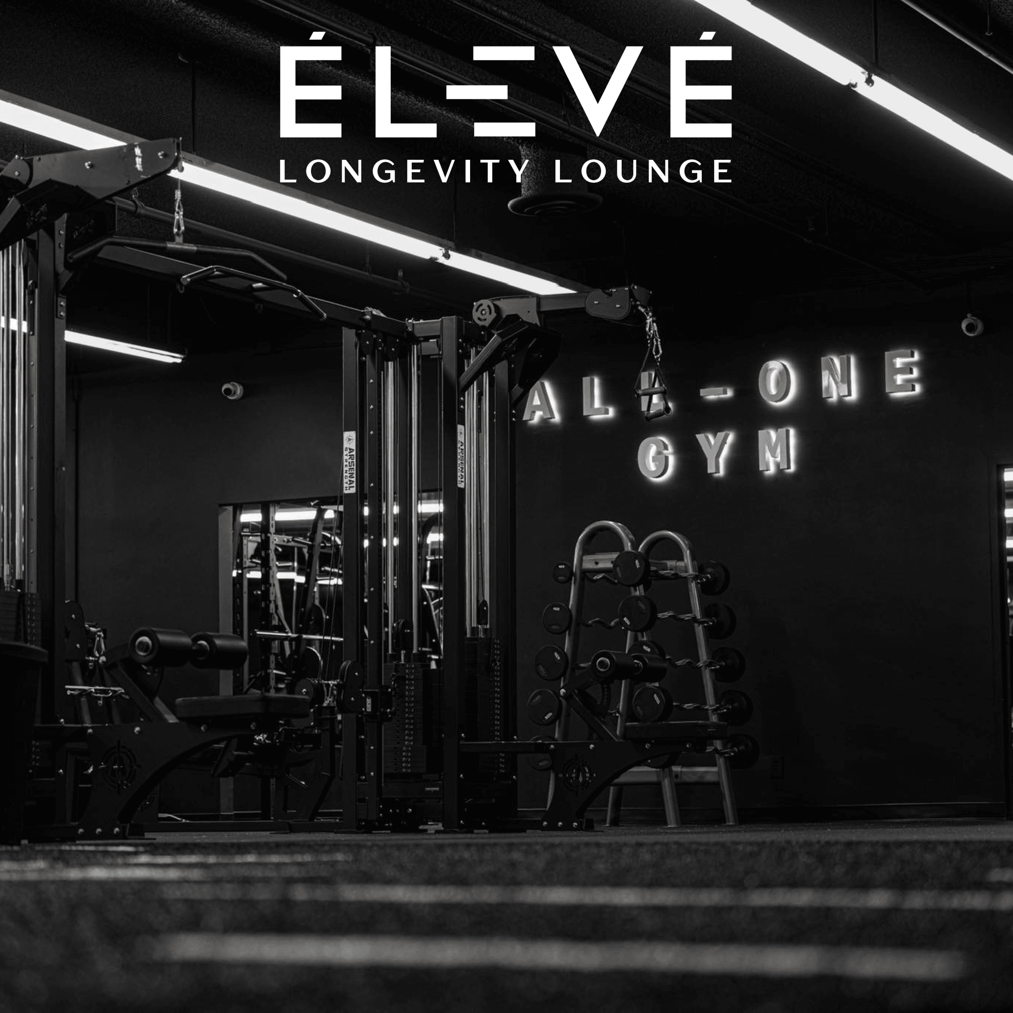 Eleve Longevity Lounge inside All One Gym in Lakewood